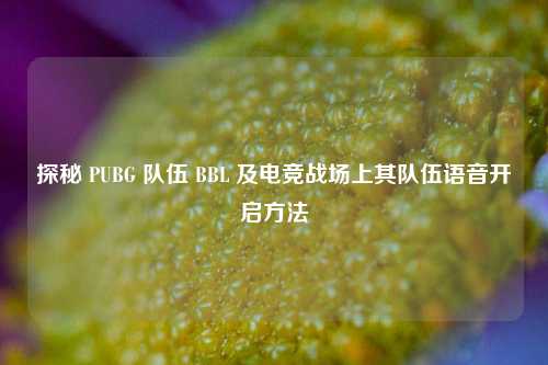 探秘 PUBG 队伍 BBL 及电竞战场上其队伍语音开启方法