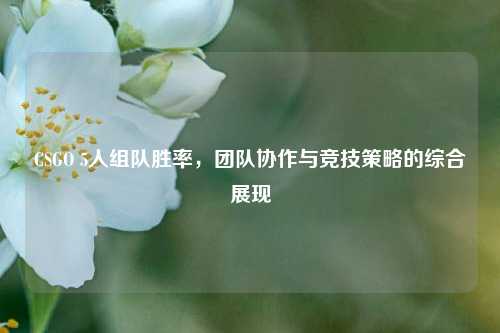 CSGO 5人组队胜率,团队协作与竞技策略的综合展现