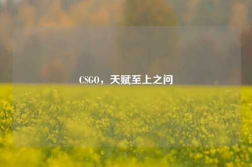 CSGO，天赋至上之问
