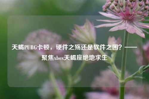 天蝎PUBG卡顿,硬件之殇还是软件之困?——聚焦xbox天蝎座绝地求生