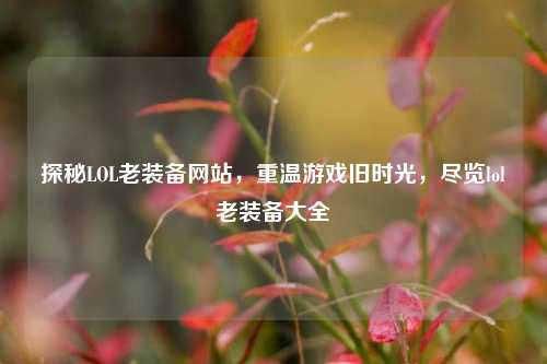 探秘LOL老装备网站,重温游戏旧时光,尽览lol老装备大全