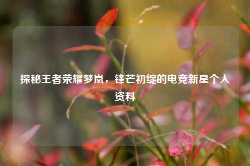 探秘王者荣耀梦岚，锋芒初绽的电竞新星个人资料