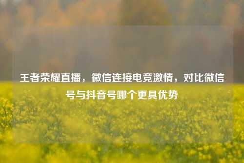 王者荣耀直播，微信连接电竞激情，对比微信号与抖音号哪个更具优势