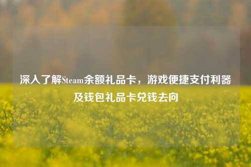 深入了解Steam余额礼品卡，游戏便捷支付利器及钱包礼品卡兑钱去向