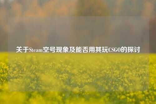 关于Steam空号现象及能否用其玩CSGO的探讨