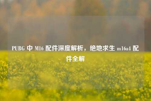 PUBG 中 M16 配件深度解析，绝地求生 m16a4 配件全解
