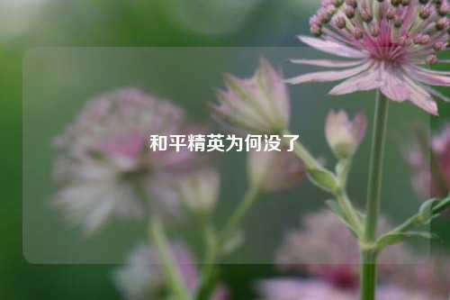和平精英为何没了