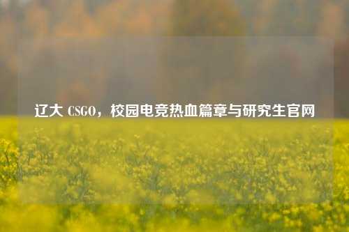 辽大 CSGO，校园电竞热血篇章与研究生官网