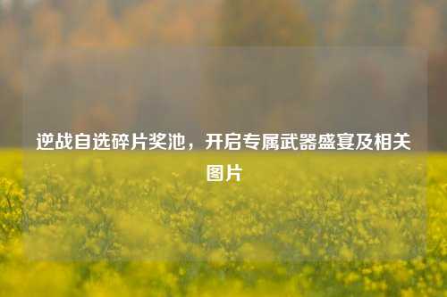 逆战自选碎片奖池,开启专属武器盛宴及相关图片