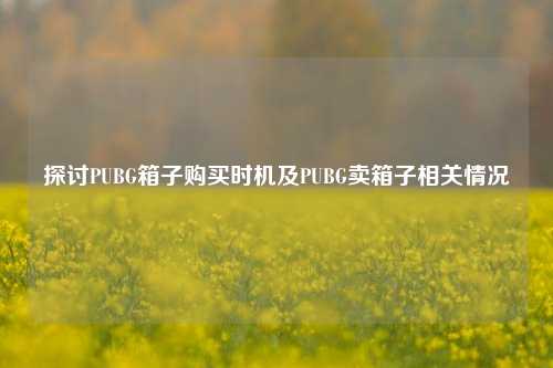 探讨PUBG箱子购买时机及PUBG卖箱子相关情况