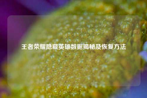 王者荣耀隐藏英雄数据揭秘及恢复方法