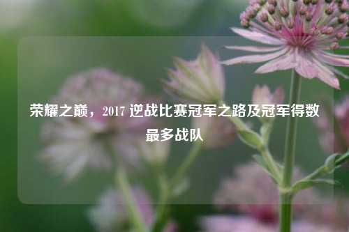 荣耀之巅,2017 逆战比赛冠军之路及冠军得数最多战队