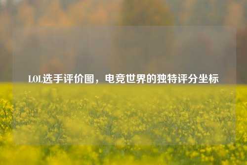 LOL选手评价图,电竞世界的独特评分坐标