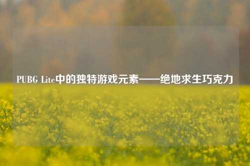 PUBG Lite中的独特游戏元素——绝地求生巧克力
