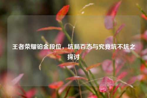 王者荣耀铂金段位，坑局百态与究竟坑不坑之探讨