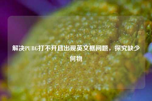 解决PUBG打不开且出现英文框问题，探究缺少何物