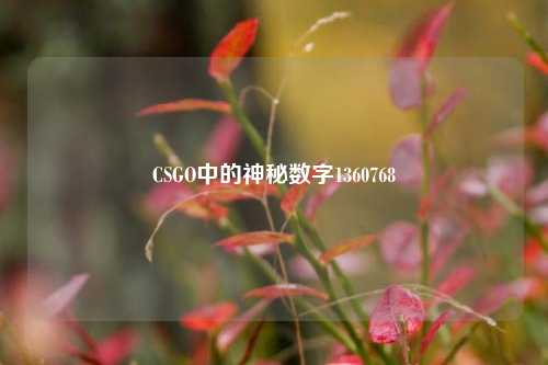 CSGO中的神秘数字1360768