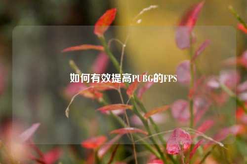 如何有效提高PUBG的FPS