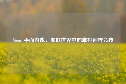 Steam平面游戏,虚拟世界中的单挑别样竞技
