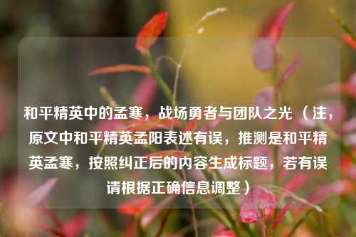 和平精英中的孟寒，战场勇者与团队之光 （注，原文中和平精英孟阳表述有误，推测是和平精英孟寒，按照纠正后的内容生成标题，若有误请根据正确信息调整）