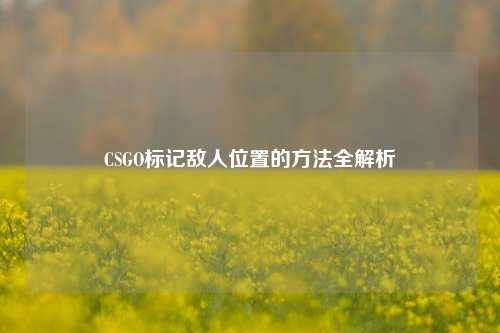 CSGO标记敌人位置的方法全解析