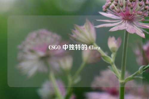 CSGO 中独特的 Clara