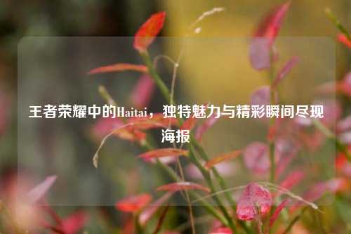 王者荣耀中的Haitai，独特魅力与精彩瞬间尽现海报