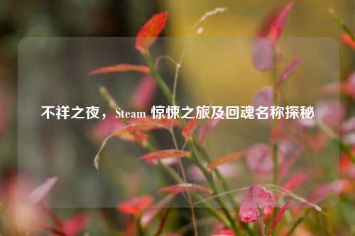 不祥之夜，Steam 惊悚之旅及回魂名称探秘