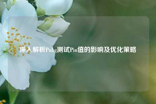 深入解析Pubg测试Pin值的影响及优化策略