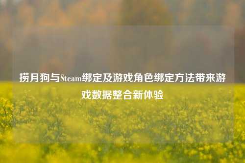 捞月狗与Steam绑定及游戏角色绑定方法带来游戏数据整合新体验