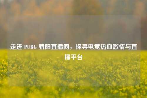 走进 PUBG 骄阳直播间,探寻电竞热血激情与直播平台