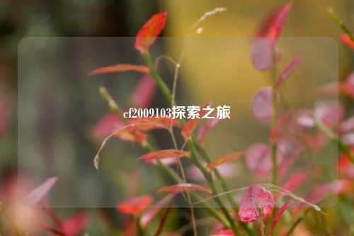 cf2009103探索之旅