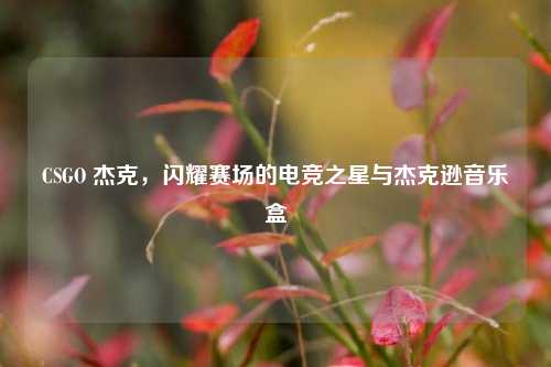CSGO 杰克,闪耀赛场的电竞之星与杰克逊音乐盒