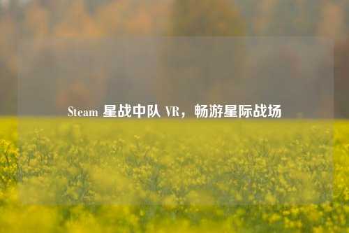 Steam 星战中队 VR，畅游星际战场