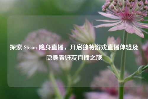 探索 Steam 隐身直播,开启独特游戏直播体验及隐身看好友直播之旅