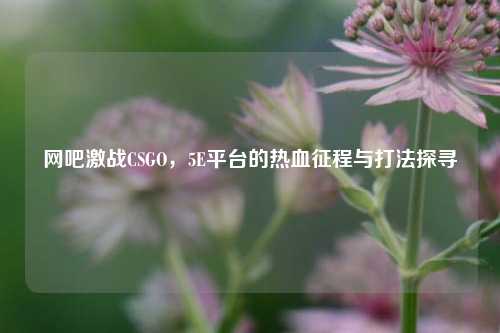 网吧激战CSGO，5E平台的热血征程与打法探寻