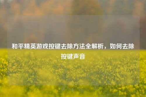 和平精英游戏按键去除方法全解析，如何去除按键声音