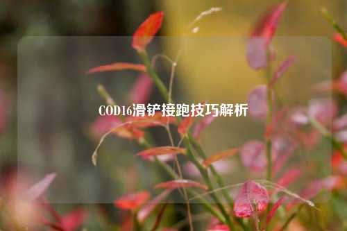 COD16滑铲接跑技巧解析