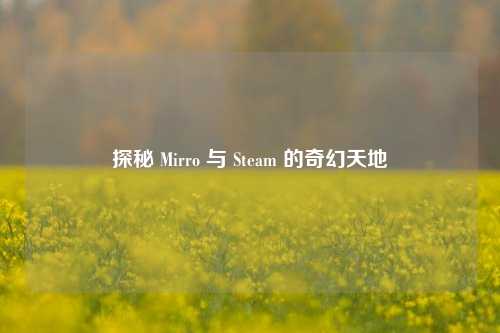 探秘 Mirro 与 Steam 的奇幻天地