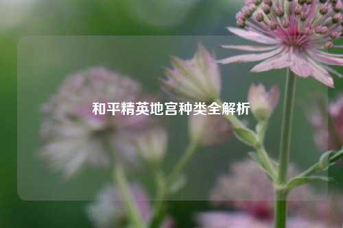 和平精英地宫种类全解析