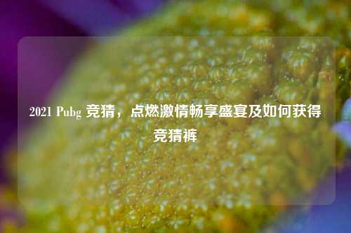 2021 Pubg 竞猜，点燃激情畅享盛宴及如何获得竞猜裤