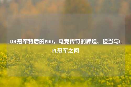 LOL冠军背后的PDD，电竞传奇的辉煌、担当与LPL冠军之问