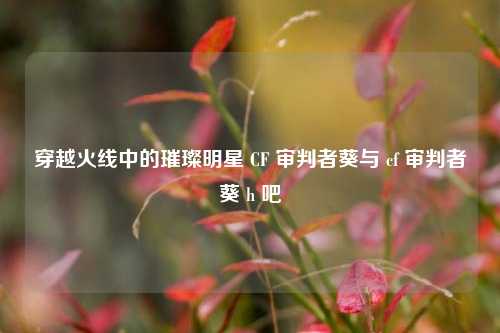 穿越火线中的璀璨明星 CF 审判者葵与 cf 审判者葵 h 吧