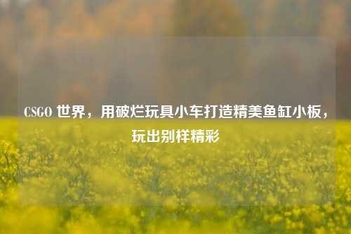 CSGO 世界，用破烂玩具小车打造精美鱼缸小板，玩出别样精彩