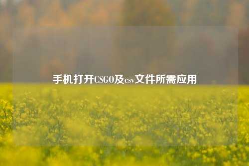 手机打开CSGO及csv文件所需应用