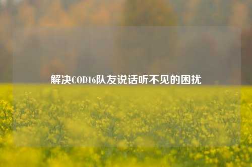 解决COD16队友说话听不见的困扰