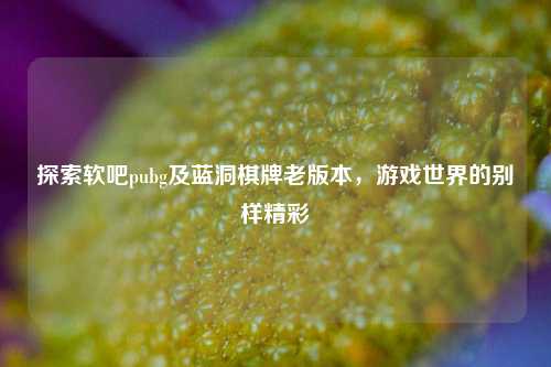 探索软吧pubg及蓝洞棋牌老版本,游戏世界的别样精彩