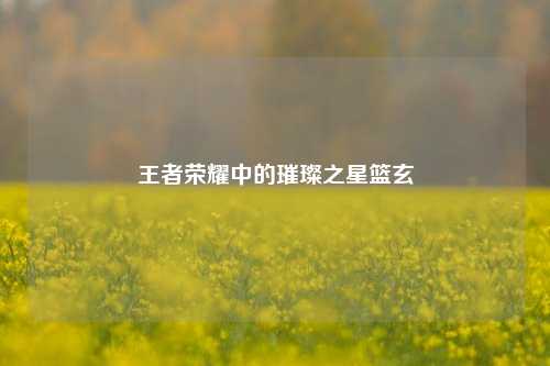 王者荣耀中的璀璨之星篮玄