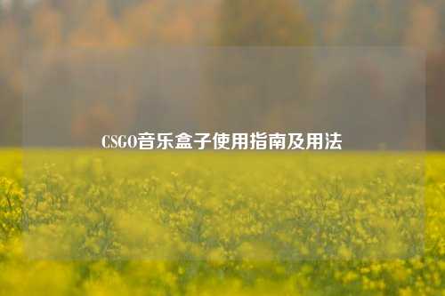 CSGO音乐盒子使用指南及用法