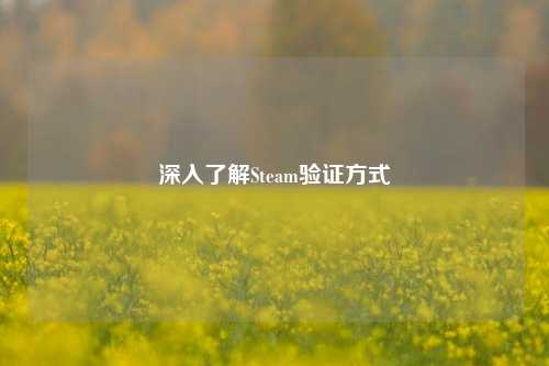 深入了解Steam验证方式